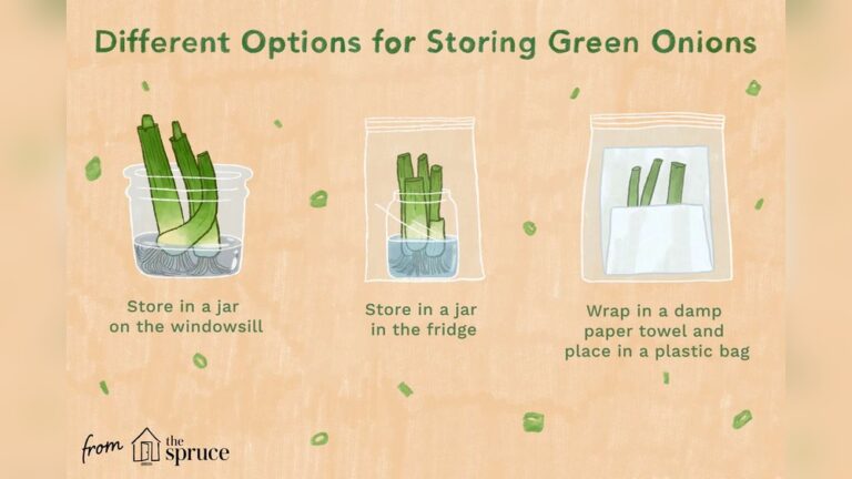 How Do You Store Spring Onions