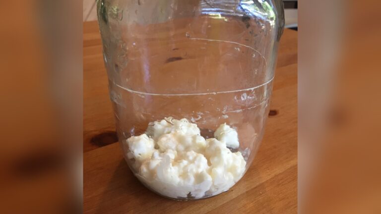 How to Store Milk Kefir Grains