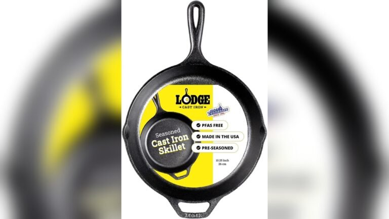 Best Cast Iron Skillet for Apartment Kitchens
