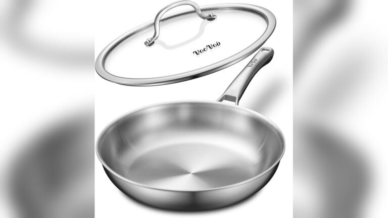 Best Stainless Steel Pan for Families